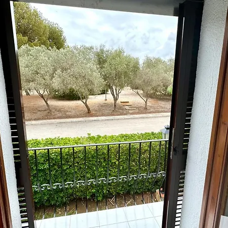 Tropicana Park Vybdenia * Dénia